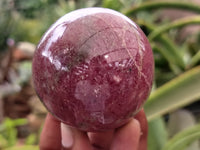 Polished Rhodonite Sphere x 3 From Ambindavato, Madagascar