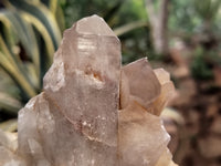 Natural Red Hematoid Quartz Clusters x 5 From Karoi, Zimbabwe