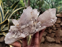 Natural Red Hematoid Quartz Clusters x 5 From Karoi, Zimbabwe