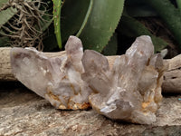 Natural Red Hematoid Quartz Clusters x 5 From Karoi, Zimbabwe