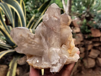 Natural Red Hematoid Quartz Clusters x 5 From Karoi, Zimbabwe