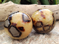 Polished Septerye Spheres x 6 From Mahajanga, Madagascar