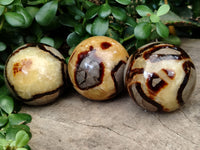 Polished Septerye Spheres x 6 From Mahajanga, Madagascar