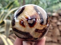 Polished Septerye Spheres x 6 From Mahajanga, Madagascar