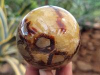 Polished Septerye Spheres x 6 From Mahajanga, Madagascar