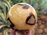 Polished Septerye Spheres x 6 From Mahajanga, Madagascar