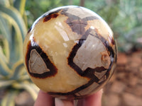 Polished Septerye Spheres x 6 From Mahajanga, Madagascar