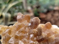 Natural Limonite Quartz Clusters x 4 From Solwezi, Zambia