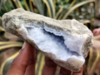 Natural Blue Lace Agate Geode Specimens x 6 From Nsanje, Malawi