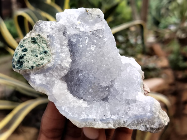 Natural Blue Lace Agate Geode Specimens x 6 From Nsanje, Malawi