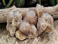 Natural Smokey Phantom Quartz Clusters x 12 From Luena, Congo