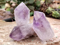 Natural Jacaranda Amethyst Single Quartz Crystals x 35 From Mumbwa, Zambia