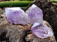 Natural Jacaranda Amethyst Single Quartz Crystals x 35 From Mumbwa, Zambia