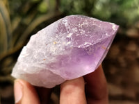 Natural Jacaranda Amethyst Single Quartz Crystals x 35 From Mumbwa, Zambia