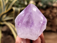 Natural Jacaranda Amethyst Single Quartz Crystals x 35 From Mumbwa, Zambia