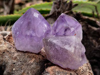 Natural Jacaranda Amethyst Single Quartz Crystals x 35 From Mumbwa, Zambia