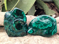 Polished Flower Banded Malachite Free Forms x 6 From Congo