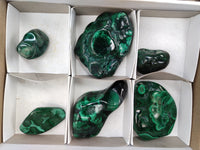 Polished Flower Banded Malachite Free Forms x 6 From Congo