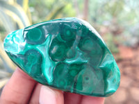 Polished Flower Banded Malachite Free Forms x 6 From Congo