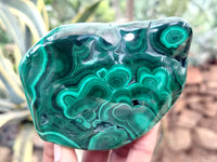 Polished Flower Banded Malachite Free Forms x 6 From Congo