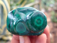 Polished Flower Banded Malachite Free Forms x 6 From Congo