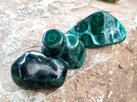 Polished Flower Banded Malachite Free Forms x 6 From Congo