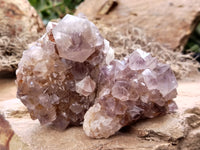 Natural Ametrine Spirit Quartz Crystals x 12 From Boekenhouthoek, South Africa