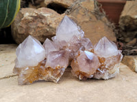 Natural Ametrine Spirit Quartz Crystals x 12 From Boekenhouthoek, South Africa