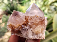 Natural Ametrine Spirit Quartz Crystals x 12 From Boekenhouthoek, South Africa