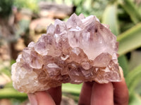 Natural Ametrine Spirit Quartz Crystals x 12 From Boekenhouthoek, South Africa