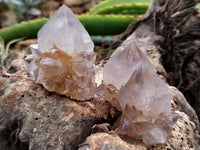 Natural Ametrine Spirit Quartz Crystals x 12 From Boekenhouthoek, South Africa