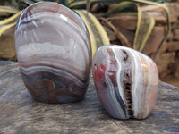 Polished Red Sashe River Agate Standing Free Forms x 3 From Zimbabwe