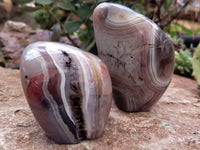 Polished Red Sashe River Agate Standing Free Forms x 3 From Zimbabwe