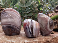 Polished Red Sashe River Agate Standing Free Forms x 3 From Zimbabwe