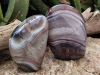 Polished Red Sashe River Agate Standing Free Forms x 3 From Zimbabwe