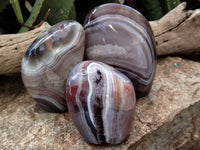 Polished Red Sashe River Agate Standing Free Forms x 3 From Zimbabwe