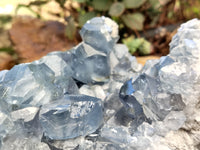 Natural Celestite Geode Specimens x 1 From Sakoany, Madagascar