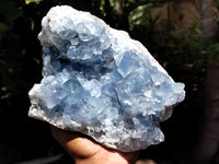 Natural Celestite Geode Specimens x 1 From Sakoany, Madagascar