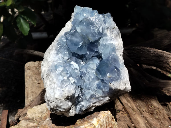 Natural Celestite Geode Specimens x 1 From Sakoany, Madagascar