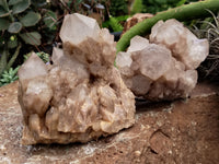 Natural Smokey Phantom Quartz Clusters x 2 From Luena, Congo