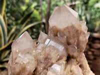 Natural Smokey Phantom Quartz Clusters x 2 From Luena, Congo