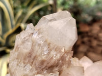 Natural Smokey Phantom Quartz Clusters x 2 From Luena, Congo