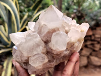 Natural Smokey Phantom Quartz Clusters x 2 From Luena, Congo