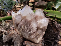 Natural Smokey Phantom Quartz Clusters x 2 From Luena, Congo