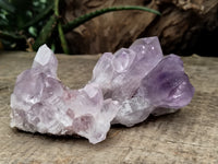 Natural Jacaranda Amethyst Single Quartz Crystal x 24 From Mumbwa, Zambia