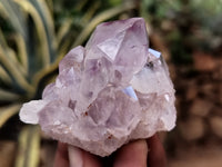 Natural Jacaranda Amethyst Single Quartz Crystal x 24 From Mumbwa, Zambia