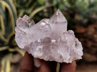 Natural Jacaranda Amethyst Single Quartz Crystal x 24 From Mumbwa, Zambia