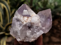 Natural Jacaranda Amethyst Single Quartz Crystal x 24 From Mumbwa, Zambia