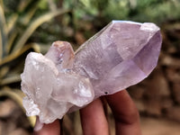 Natural Jacaranda Amethyst Single Quartz Crystal x 24 From Mumbwa, Zambia