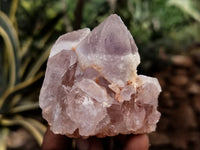 Natural Jacaranda Amethyst Single Quartz Crystal x 24 From Mumbwa, Zambia